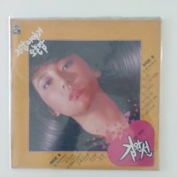 [LP/NM NM] 김완선 1집 초반 - 지난 이야기&왜아니오나