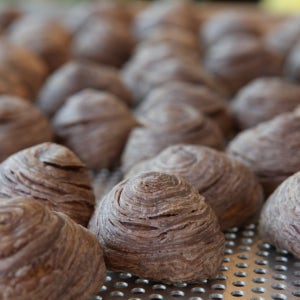 가랑드 곡성 수제토란파이만주 10구 화과자 선물세트 원조 답례품