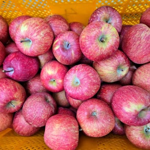 미얀마 후브락스 부사 밀양 안동 경산 문경 사과 5kg 소과 중과 대과 가정용 선물용