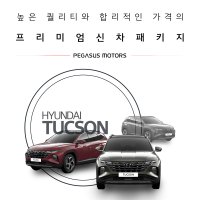 부산 투싼신차패키지 NX4 페가수스모터스 사전예약