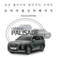 팰리세이드 신차패키지 부산신차패키지 부산썬팅 부산열차단썬팅 부산팰리세이드썬팅