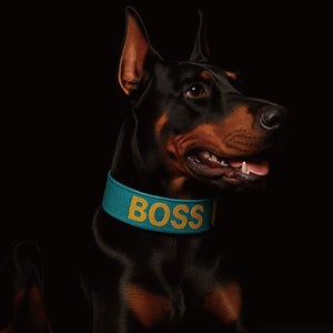 리또리 강아지목줄 대형견 초대형견 5cm 골드버클 블랙