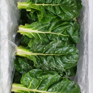 야채왕 근대 4kg