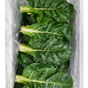 야채왕 근대 4kg, 1개