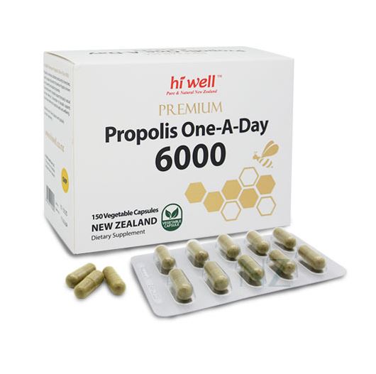 프리미엄 프로폴리스 원어데이