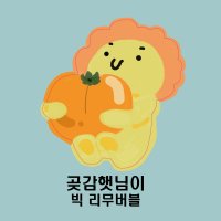 [몽글람] 곶감햇님이 리무버블 스티커 (다꾸, 스꾸, 다이어리꾸미기, 굿즈 스티커)