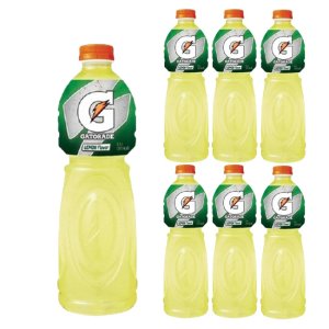 롯데칠성음료 게토레이 1.5L x 12개 이온음료