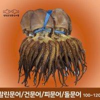 남해 자연산 말린 건문어 피문어 돌문어 (110~130g, 35cm이상, 1마리)