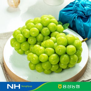 [N배송]산지직송 경산 용성농협 특품 샤인머스켓 1.5kg, 2kg, 4kg[GAP시설 당도16Brix이상]