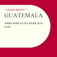 [ 500g ] 과테말라 할라빠 비스까야 레드버본 워시드/ 스페셜티커피 / 원두판매 / 브라운홀릭 /