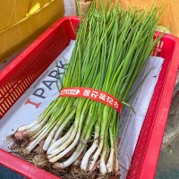 [의정부시 배달] 알싸한 쪽파(소) 600g [의정부 제일상회]