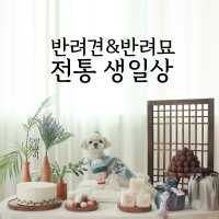 정성가득 강아지 생일상 대여 / 고양이 파티용품 / 전통돌상 / 반려동물 기념일