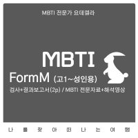 MBTI 정식검사 FormM (2p결과+전문자료+해석상담영상 제공) 09시~01시 운영