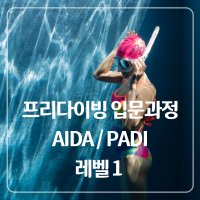 프리다이빙 자격증 강습 AIDA,PADI (입문 레벨1/베이직) 스프레드프리다이빙