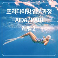 프리다이빙 자격증 강습 AIDA,PADI (초급과정 레벨2) 스프레드프리다이빙