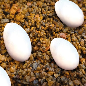 파충류 번식 부화용 NRC 퍼펙트해치 (크레스티드게코 부화용 바닥재) 500g