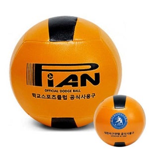 대한피구연맹 공인구 피안 피구공 배구공 초등용 중고등용 성인용