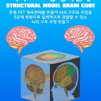 뇌 구조 모형 정육면체 만들기-IUB 과학교구