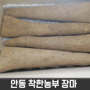 안동착한농부 장마 알뜰마 5kg