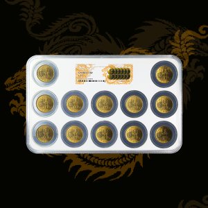 수집용품 주화보관 12구 멀티슬랩케이스