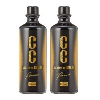 프로스태프 CC 워터골드 프리미어 유리막 코팅제 리필킷트 480 ml 2PACK