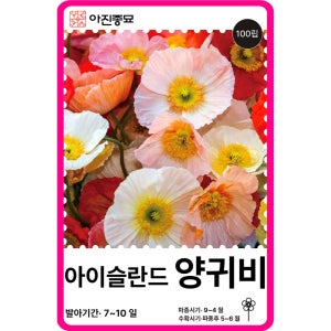 아이슬란드 양귀비 꽃 씨앗 100립 / 서양 노지월동 꽃씨 몰 종자 일년생 야생화
