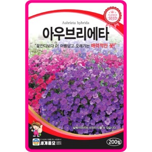 꽃잔디 씨앗 200립 / 아우브리에타 고급 꽃씨 몰 종자 노지월동 야생화 다년생 봄 가을