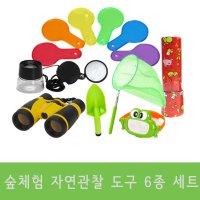 숲체험 곤충 식물 자연탐구 세트 6종 - 채집 식물 나뭇잎관찰 가을소풍 돋보기 루페 과학 확대경