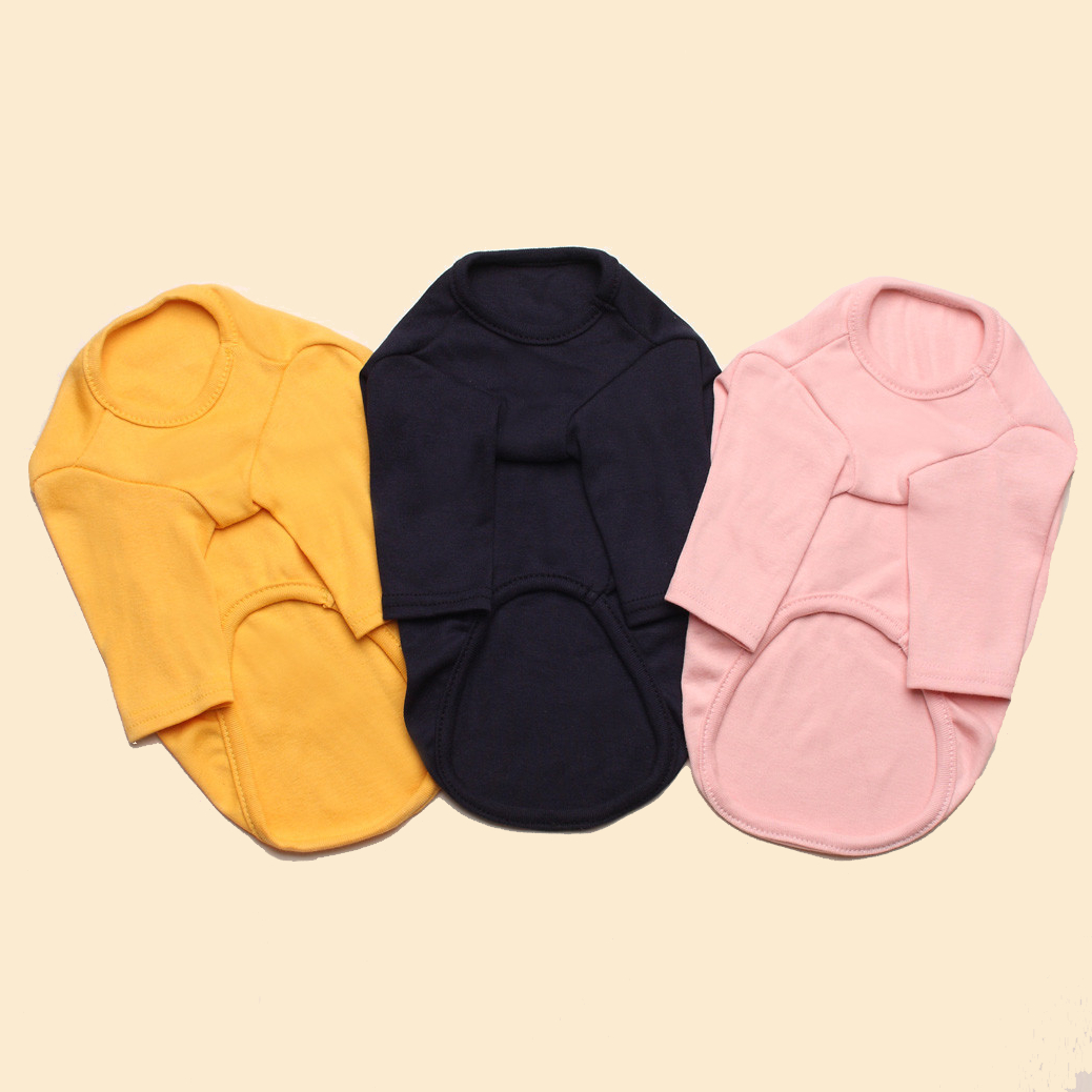 웰시 코기 (Welsh Corgi)