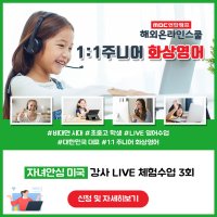 [MBC해외온라인] 미국 1:1화상영어 2회(일대일 영어회화, 초등 영어 레벨 테스트)