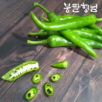 싱싱한 풋고추 5kg 청고추 해남농장