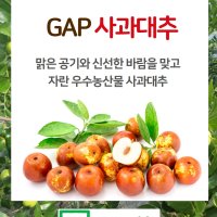 사과대추 1KG