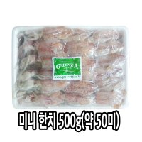 다인 냉동 미니 한치 500g (약 50미) 한치숙회 물회 손질 베이비 통한치