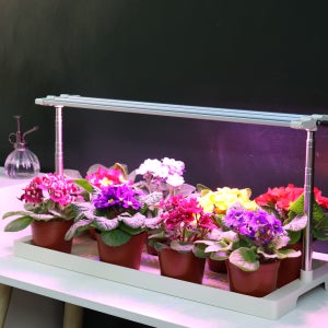 LED 식물등 조명 세트 (높이조절형) 화분 다육이 난초 식물재배