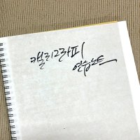 캘리그라피 연습노트 붓펜 화선지 a4 20x29cm 약57장 그림 서예 손글씨 재료