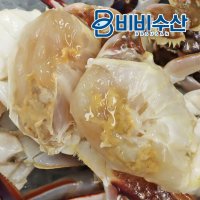 국내산 서해 손질꽃게 500g,1kg 속이꽉찬 절단꽃게