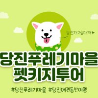 [서울국제관광전 특가] 당진애견동반여행 당진푸레기마을 펫키지 힐링투어 (마을숙박+반려견동반체험+식사)