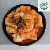 푸울마당 전라도섞박지2kg