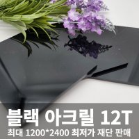 블랙 아크릴판 12T 맞춤 주문 재단 제작 D.I.Y 흑색 아크릴