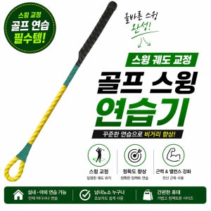 골프 스윙 연습기 파크골프 스윙 교정 비거리 향상 연습 도구