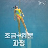 프리다이빙 강습 (입문+초급) 자격증 서울 수원 교육 스쿠버 PADI K26 딥스테이션