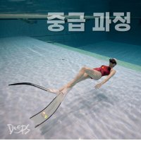 프리다이빙 강습 중급 자격증 서울 경기 스쿠버 SSI PADI RAID