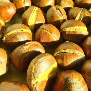 진심먹거리 당뇨환자용 스테비아밤 스밤스밤 칼집약단밤 생율 알밤 군밤용 1kg