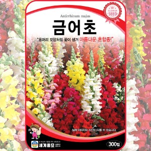 금어초 씨앗 300립 금어초 꽃씨 몰 종자 씨앗 봄 가을 snapdragon seeds