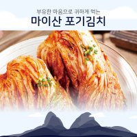 마이산 포기김치(배추김치) 100% 국내산 3kg 한국농협김치 진안고원