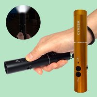 전자호루라기 USB 충전식 LED라이트 교육훈련 태권도장 체육관