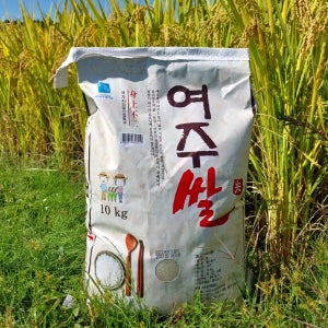 여주진상미 햅쌀 여주쌀10kg 정미소 맛있는 도정쌀 쌀십키로 백미