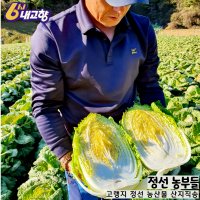 고랭지 절임배추 고냉지 절인배추 강원도 정선 20kg 김장재료 김장배추 김장 예약판매