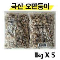 국내산 냉동 오만둥이 5KG 미더덕 (1KGX5팩)