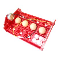 부화기 전란틀 12란 부화기 재료 부품 전란 Egg Incubator tray 병아리 오리 꿩 메추리